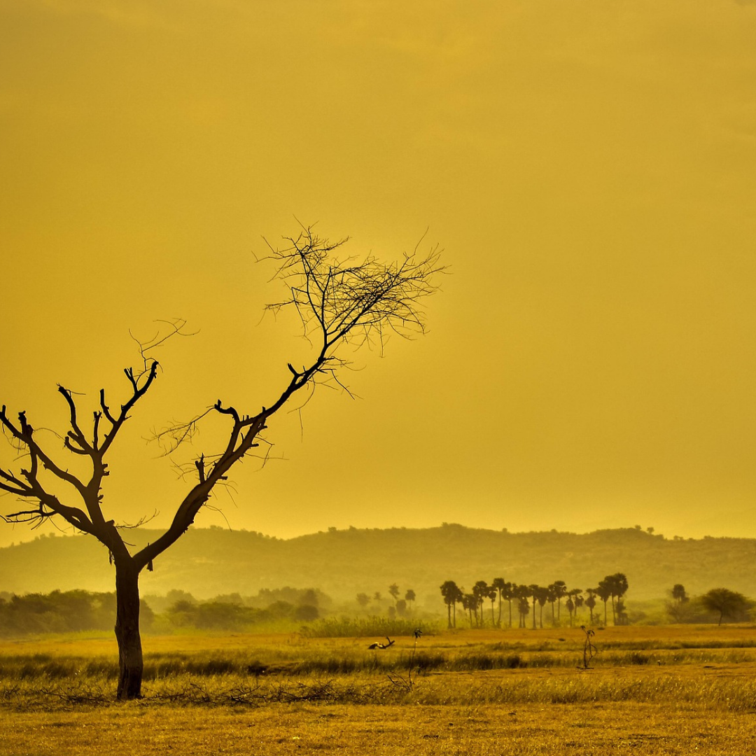 La desigualdad hídrica en Chile y su impacto en la Región de Coquimbo